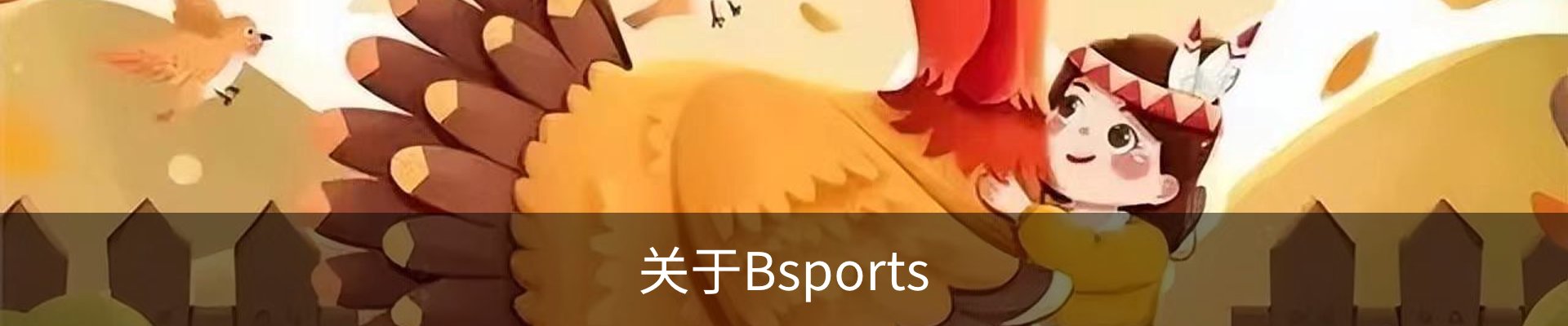 关于Bsports