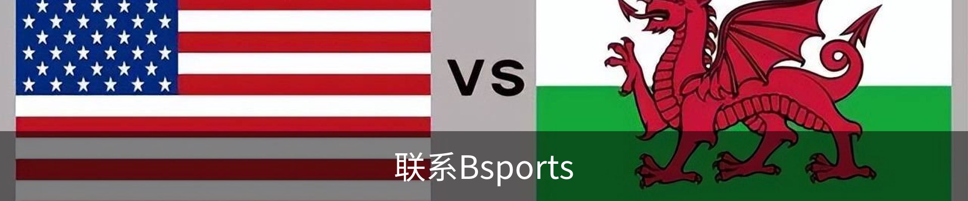 联系Bsports